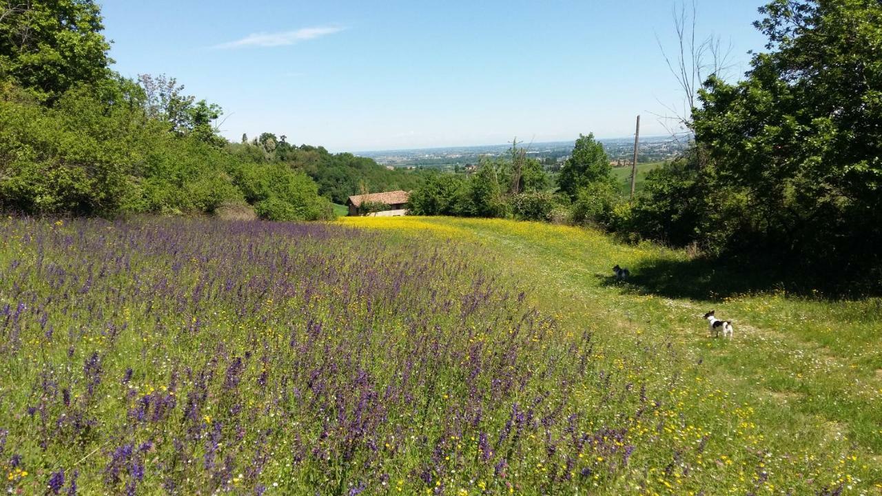 Agriturismo Montevecchio Isolani Monte San Pietro المظهر الخارجي الصورة