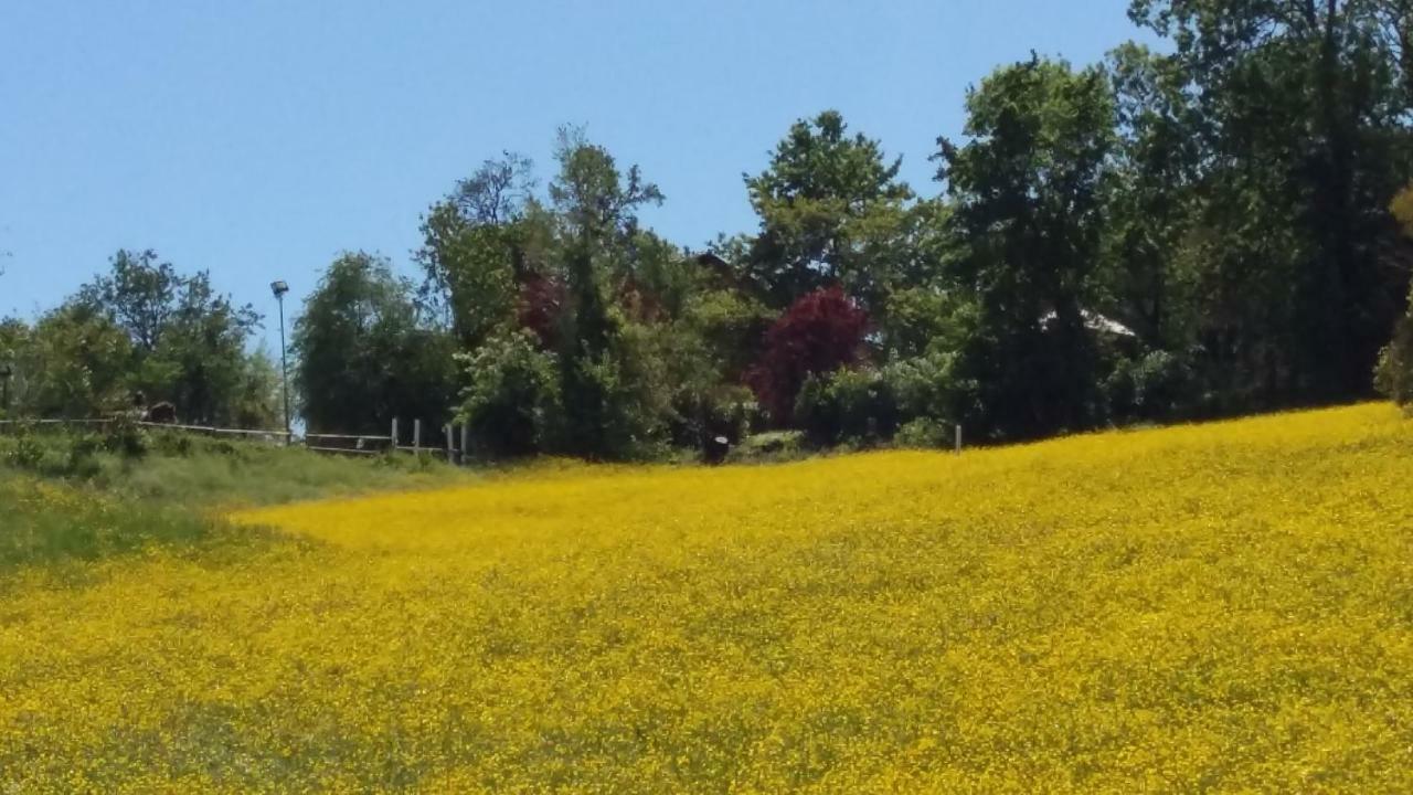 Agriturismo Montevecchio Isolani Monte San Pietro المظهر الخارجي الصورة